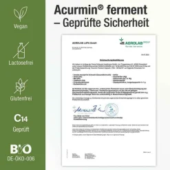Acurmin Ferment Kurkuma Pfeffer Kapseln, 60 St