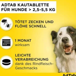 Adtab ™ Kautabletten für kleine Hunde 112 mg 2,5 bis 5,5 kg, 3 St><noscript><img width=