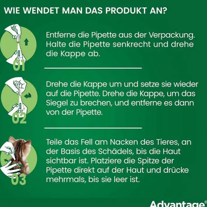Advantage 80 für große Katzen und Zierkaninchen ab 4 kg, 4X0.8 ml> Nager|Flöhe, Zecken & Co.