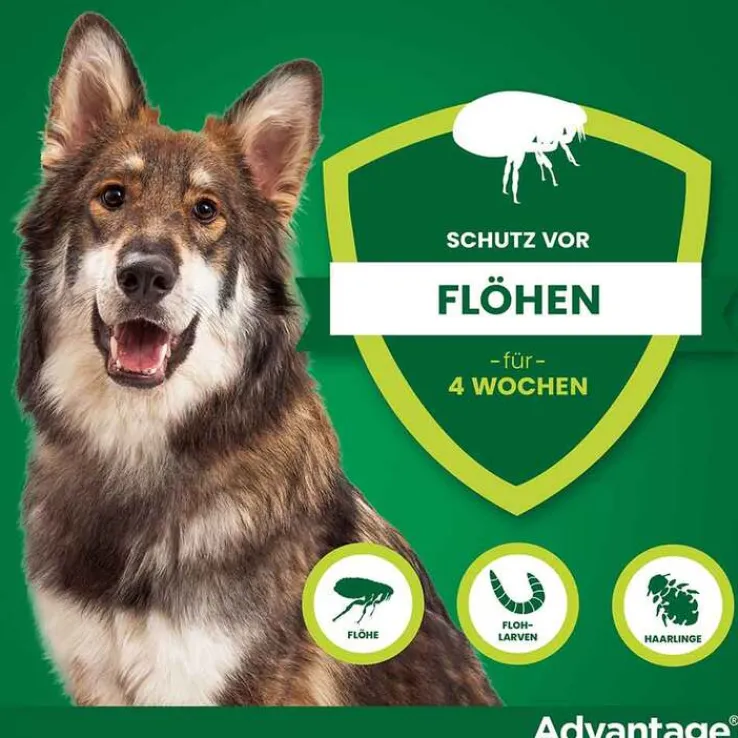 Advantage 400 für Hunde ab 25 kg, 1X4 St