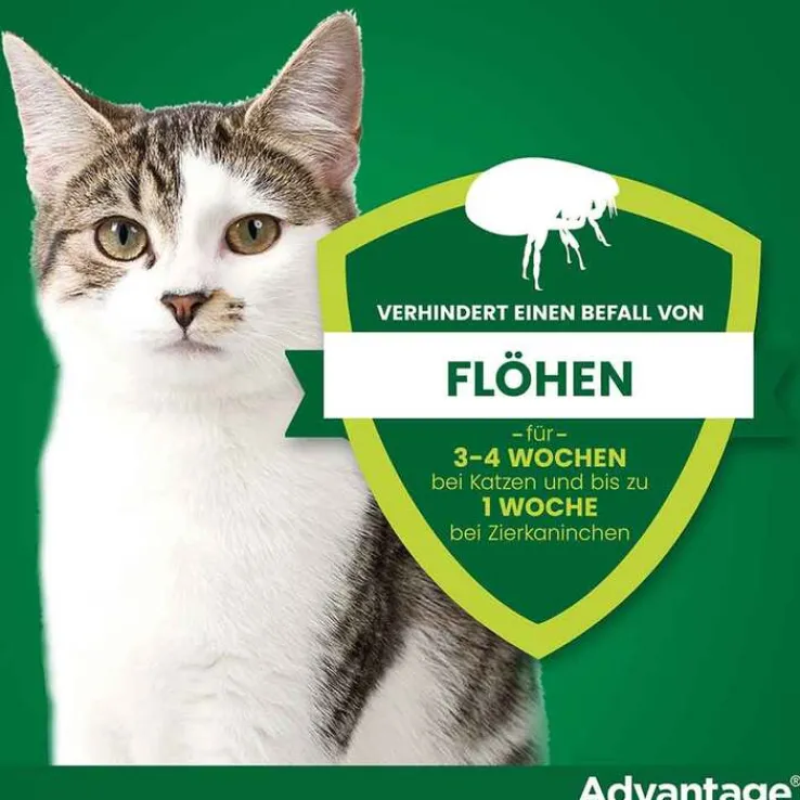 Advantage 40 für kleine Katzen und Zierkaninchen unter 4 kg, 4X0.4 ml