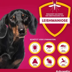 Advantix Spot-on Hund 4 - 10 kg Lösung, 4 St><noscript><img width=