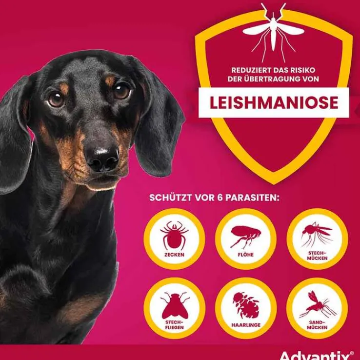 Advantix Spot-on Hund bis 4 kg Lösung, 4 St