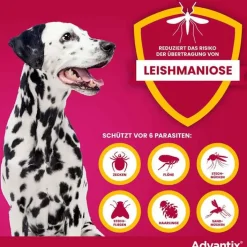 Advantix Spot-on Lösung z.Auftr.a.d.H.für Hund 40 - 60 kg, 4X6.0 ml><noscript><img width=