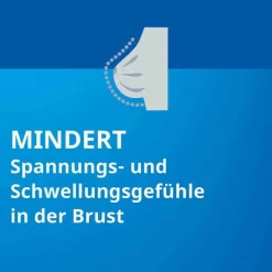 Agnus castus STADA® Filmtabletten, 100 St