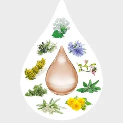 Amara-Tropfen Dilution, 50 ml