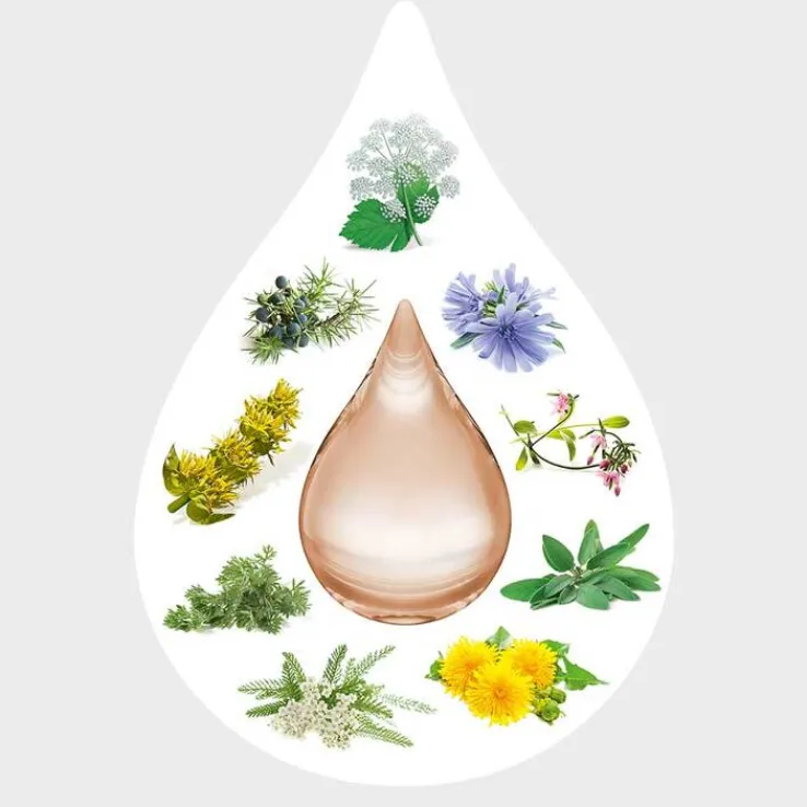 Amara-Tropfen Dilution, 50 ml