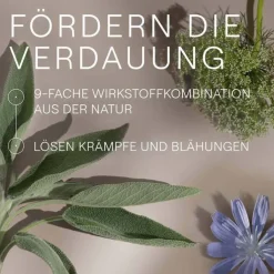 Amara-Tropfen Dilution, 50 ml