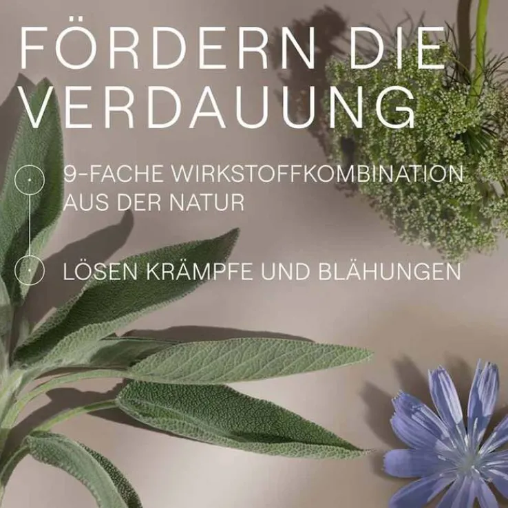 Amara-Tropfen Dilution, 50 ml