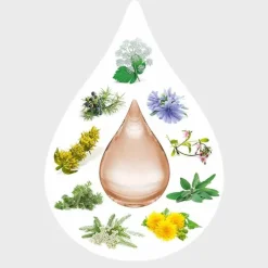 Weleda Amara-Tropfen Dilution, 20 ml><noscript><img width=