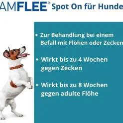 Amflee 268 mg Spot-On für große Hunde, 3 St> Flöhe, Zecken & Co.