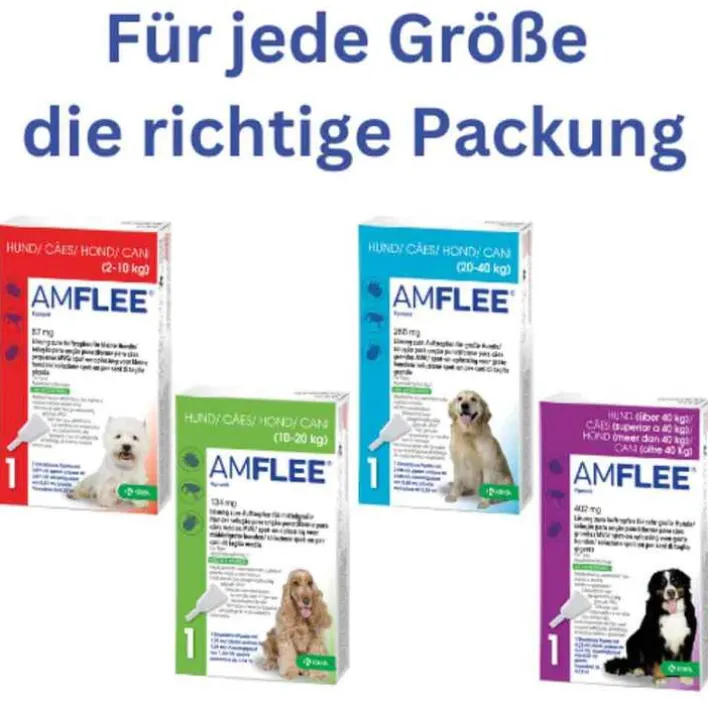 Amflee 268 mg Spot-On für große Hunde, 3 St> Flöhe, Zecken & Co.