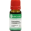 Arcana Anacardium Orientale LM 6 Dilution, 10 ml> A