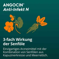 ANGOCIN Anti-Infekt N Filmtabletten, 500 St