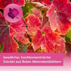 Antiveno Venentabletten 360 mg Filmtabletten, 90 St><noscript><img width=