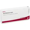 Apis Belladonna Inject Ampullen, 10X1 ml