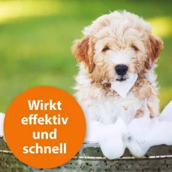Ardap Anti-Floh Hundeshampoo, 250 ml