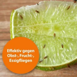 ARDAP Fruchtfliegenfalle, 1 St> Insektenfallen