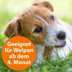 ARDAP Spot-On für große Hunde über 25 kg, 3 St><noscript><img width=
