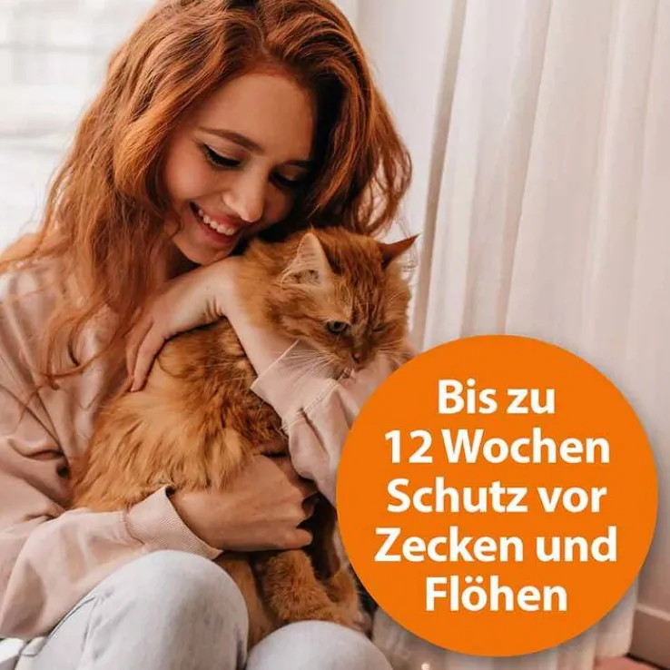 Ardap Spot-On für große Katzen über 4 kg, 3 St