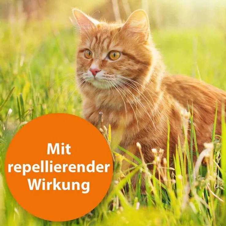 Ardap Spot-On für kleine Katzen bis 4 kg, 3 St