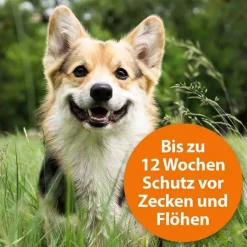 Ardap Spot-On für mittelgroße Hunde 10 - 25 kg, 3 St
