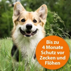 Ardap Zecken-/Flohschutzhalsband mittelgroße Hunde 10-25 kg, 1 St