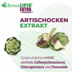 Armolipid Extra Tabletten mit Artischocke, 60 St