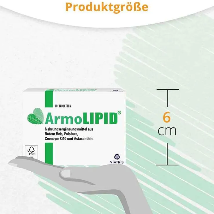 Armolipid Tabletten, 30 St