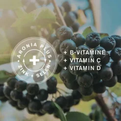 Ursapharm Aronia + Pro Immun direkt Direktgranulat Sticks, 30 St><noscript><img width=