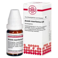 DHU-Arzneimittel Arundo mauritanica C 200 Globuli, 10 g> A