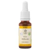 Lemon Pharma Bachblüte No.20 Mimulus Bio, 20 ml> Bachblütentropfen