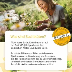 Bachblüten Murnauer Original Tropfen nach Dr. Bach, 20 ml