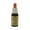 Murnauers Bachblüten Murnauer Tropfen Scleranthus, 20 ml> Bachblütentropfen