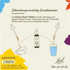 Bachblüten Nr. 4 Centaury Tropfen, 20 ml