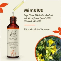 Bachblüten Nr. 20 Mimulus Tropfen, 20 ml