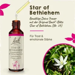 Bachblüten Nr. 29 Star of Bethlehem Tropfen, 20 ml