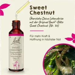 Original Bachblüten Bachblüten Nr. 30 Sweet Chestnut Tropfen, 20 ml> Bachblütentropfen