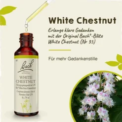 Bachblüten Nr. 35 White Chestnut Tropfen, 20 ml
