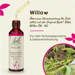 Bachblüten Nr. 38 Willow Tropfen, 20 ml