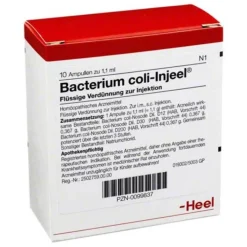 Injeel Bacterium coli Ampullen, 10 St> Heel