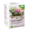 Salus Bauerngarten-Tee Glückseligkeit Früchtetee , 15 St> Bio Tee