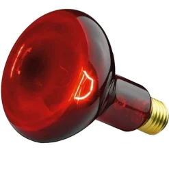 Beurer Glühbirne Infrarotlicht 100W, 1 St> Infrarotlampen