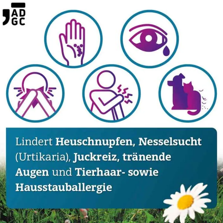 Bilastin ADGC 20 mg Tabletten bei Allergie, 6 St