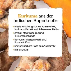 Biotanicals Kurkuma Kapseln, 120 St