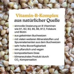 Biotanicals Vitamin B Kapseln, 90 St