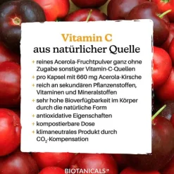 Biotanicals Vitamin C Kapseln, 120 St