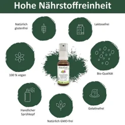 Bitterkraft Original Spray, 20 ml> Verdauung|Genüssliches