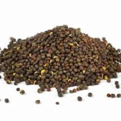 Brokkolisamen Sulfo forte Bio Dr. Jacobs, 250 g