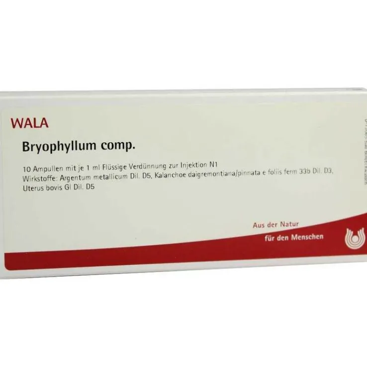 Bryophyllum comp. Ampullen, 10X1 ml